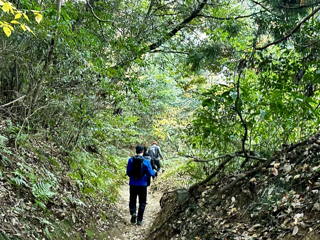 今回の「観音レン」は肌寒い12月半ばに実施